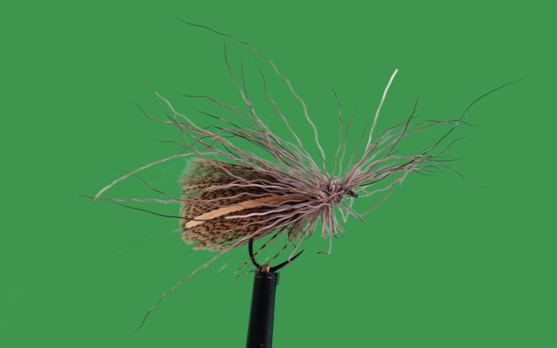 product-dry-fly-natural-caddis