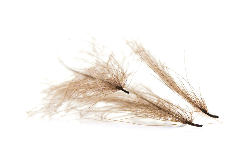 product-cul-de-canard