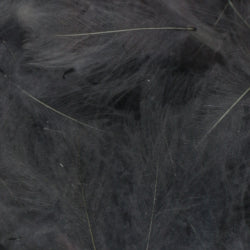 variant-ft01640-a