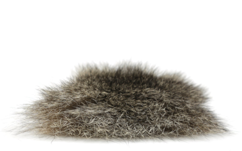 product-australian-opossum