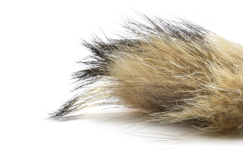 product-chichilla-fox