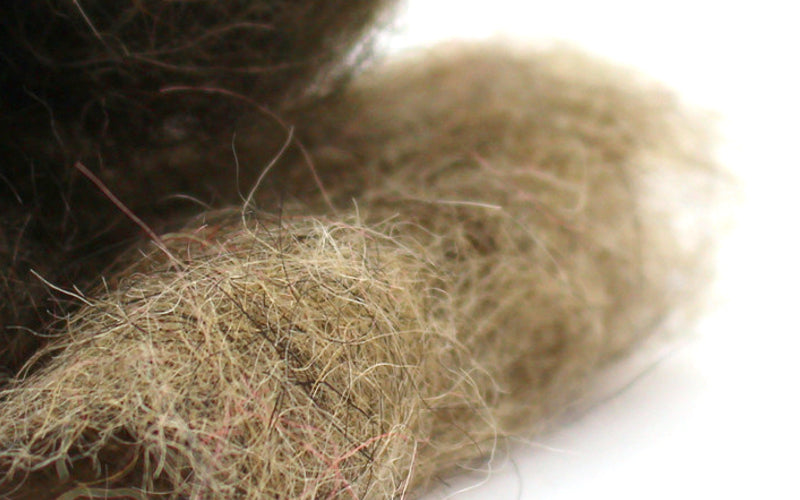 product-nymph-dubbing