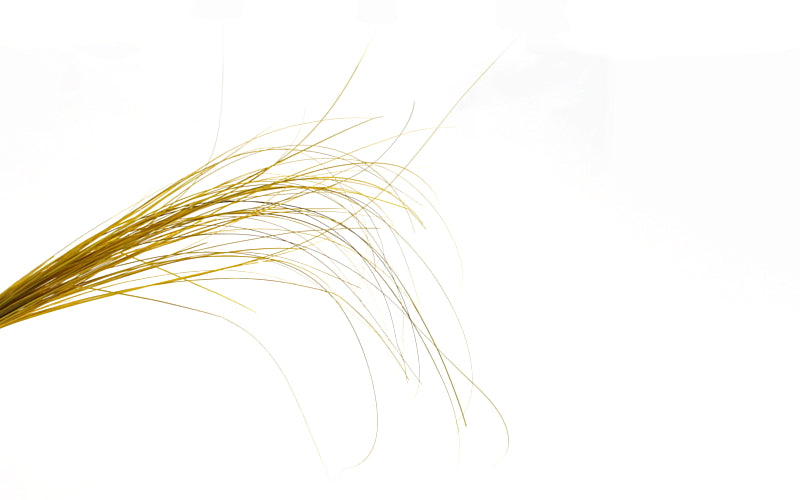 product-stripped-quills
