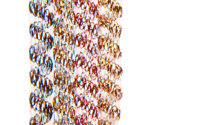 product-fish-skin-large