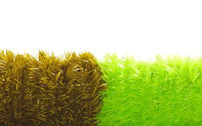 product-neon-opaque-15-mm
