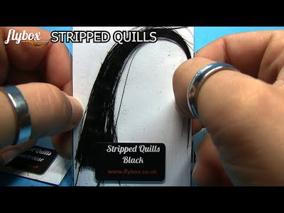 unboxing-stripped-quills