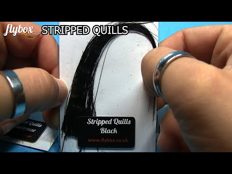 unboxing-stripped-quills