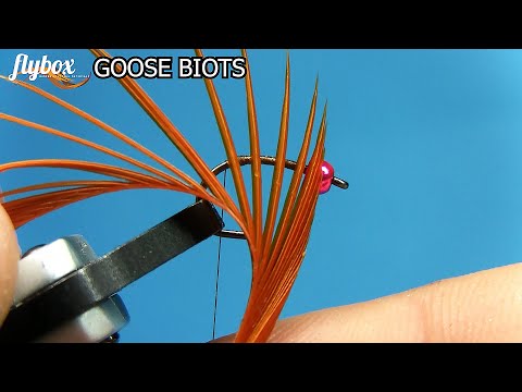 unboxing-goose-biots
