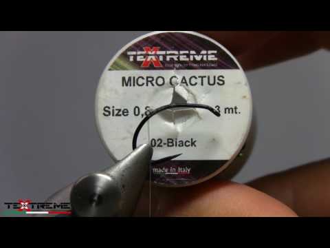 unboxing-micro-cactus